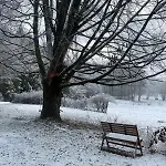 La Coin-coin Hébergement de vacances *