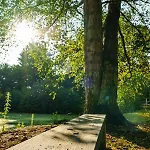 Hébergement de vacances La Coin-coin Manneville-la-Pipard