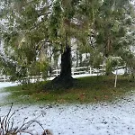 La Coin-coin Hébergement de vacances Manneville-la-Pipard