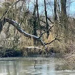 La Coin-coin * Manneville-la-Pipard