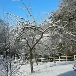 La Coin-coin Manneville-la-Pipard