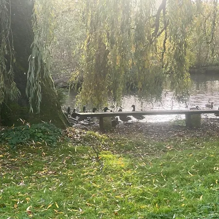 La Coin-coin * Manneville-la-Pipard