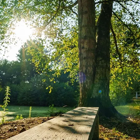 Hébergement de vacances La Coin-coin Manneville-la-Pipard