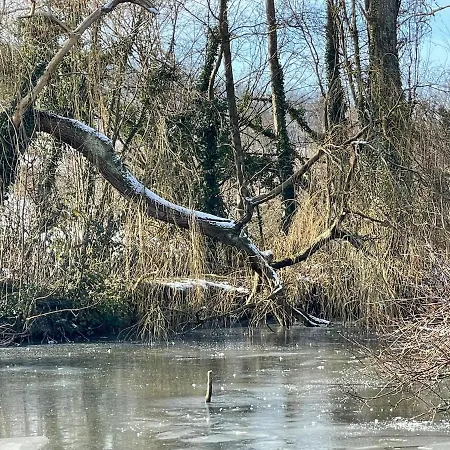 La Coin-coin * Manneville-la-Pipard