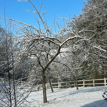 La Coin-coin Manneville-la-Pipard