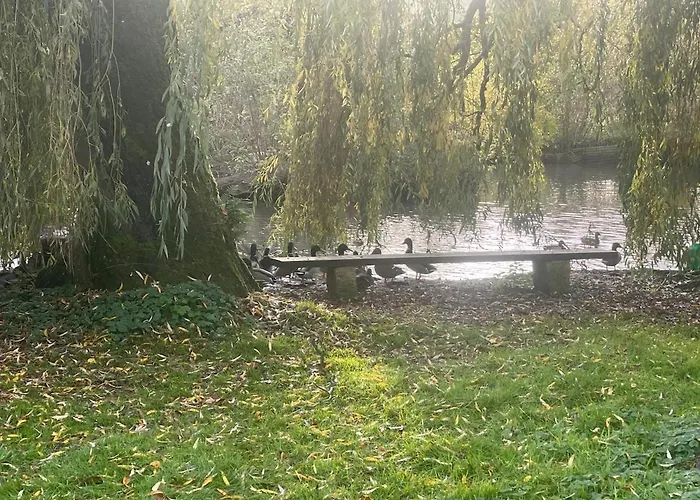 La Coin-coin * Manneville-la-Pipard