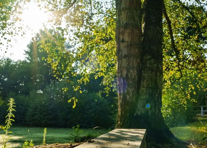 Casa vacanze La Coin-coin Manneville-la-Pipard