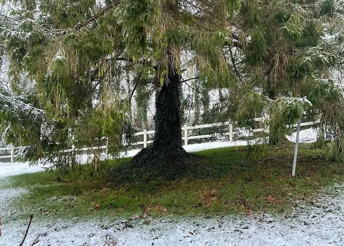 La Coin-coin Casa vacanze Manneville-la-Pipard