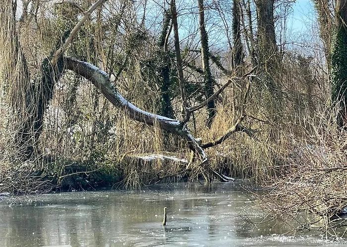 La Coin-coin * Manneville-la-Pipard