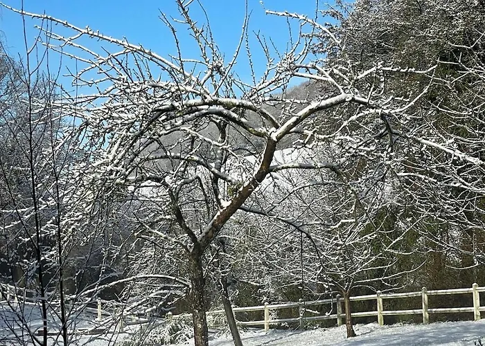 La Coin-coin Manneville-la-Pipard